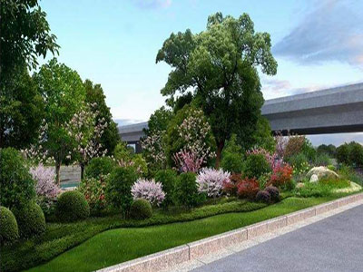 广西邕宁道路绿化